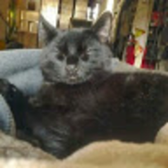 Meet your Posher, Christina - Picture 1 of 1